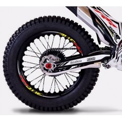 Adesivi Forcellone TRS RR 2018